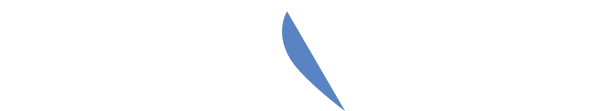 YVSLaw_Logo_Horizontal_White_v2